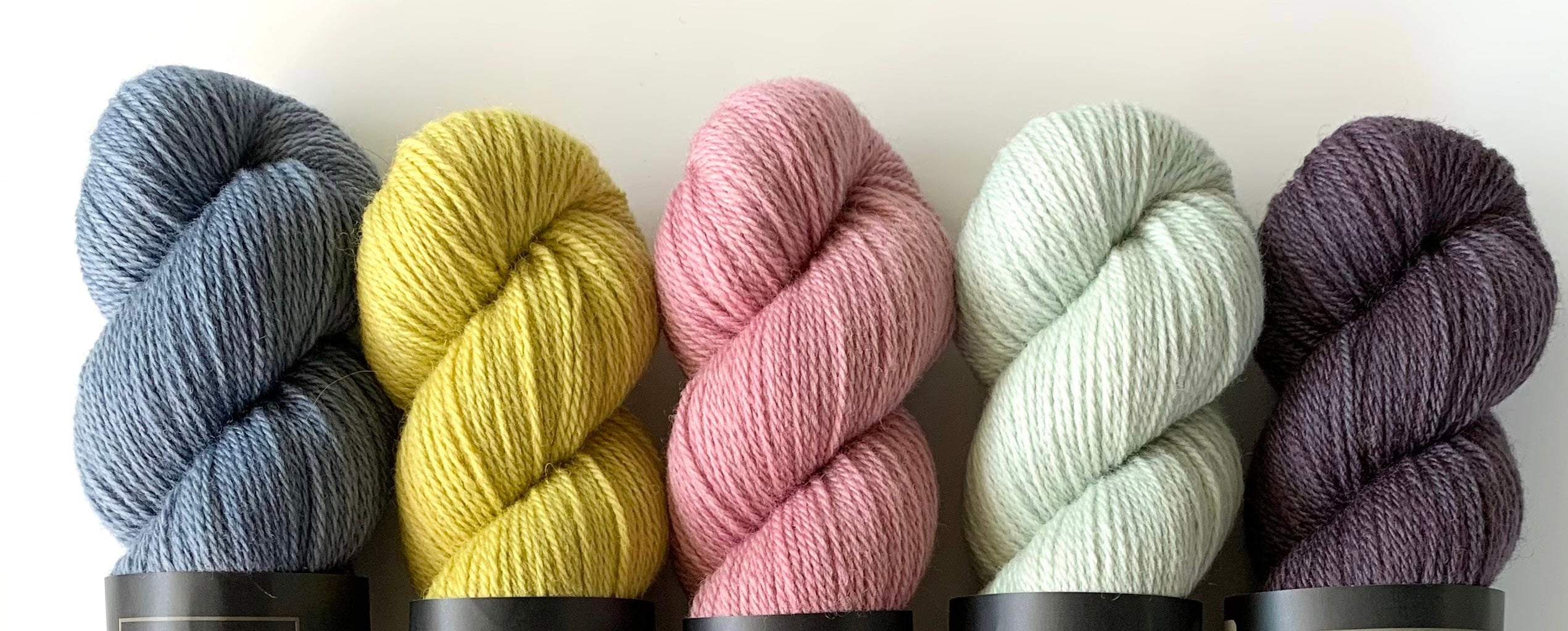 Sheep Breeds – Black Squirrel Yarns