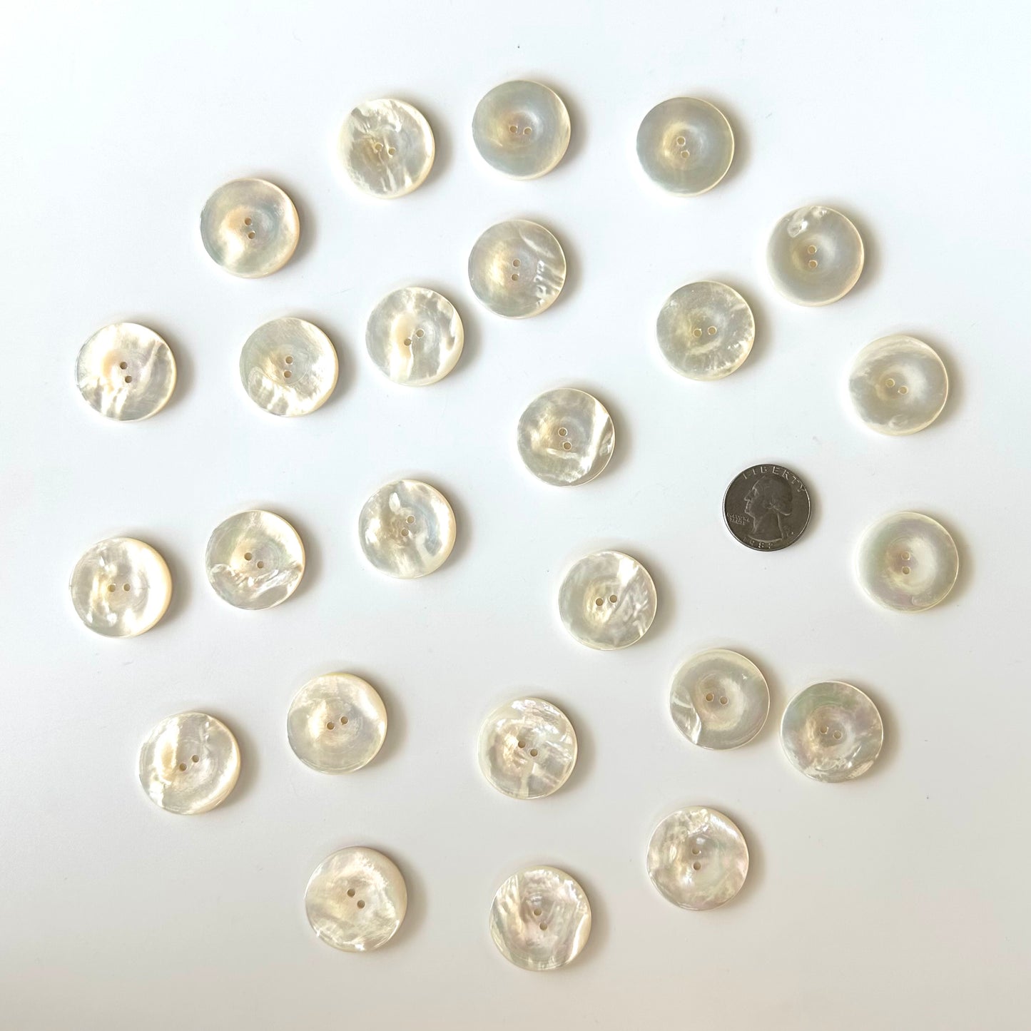 Shell Buttons - 1 inch and up