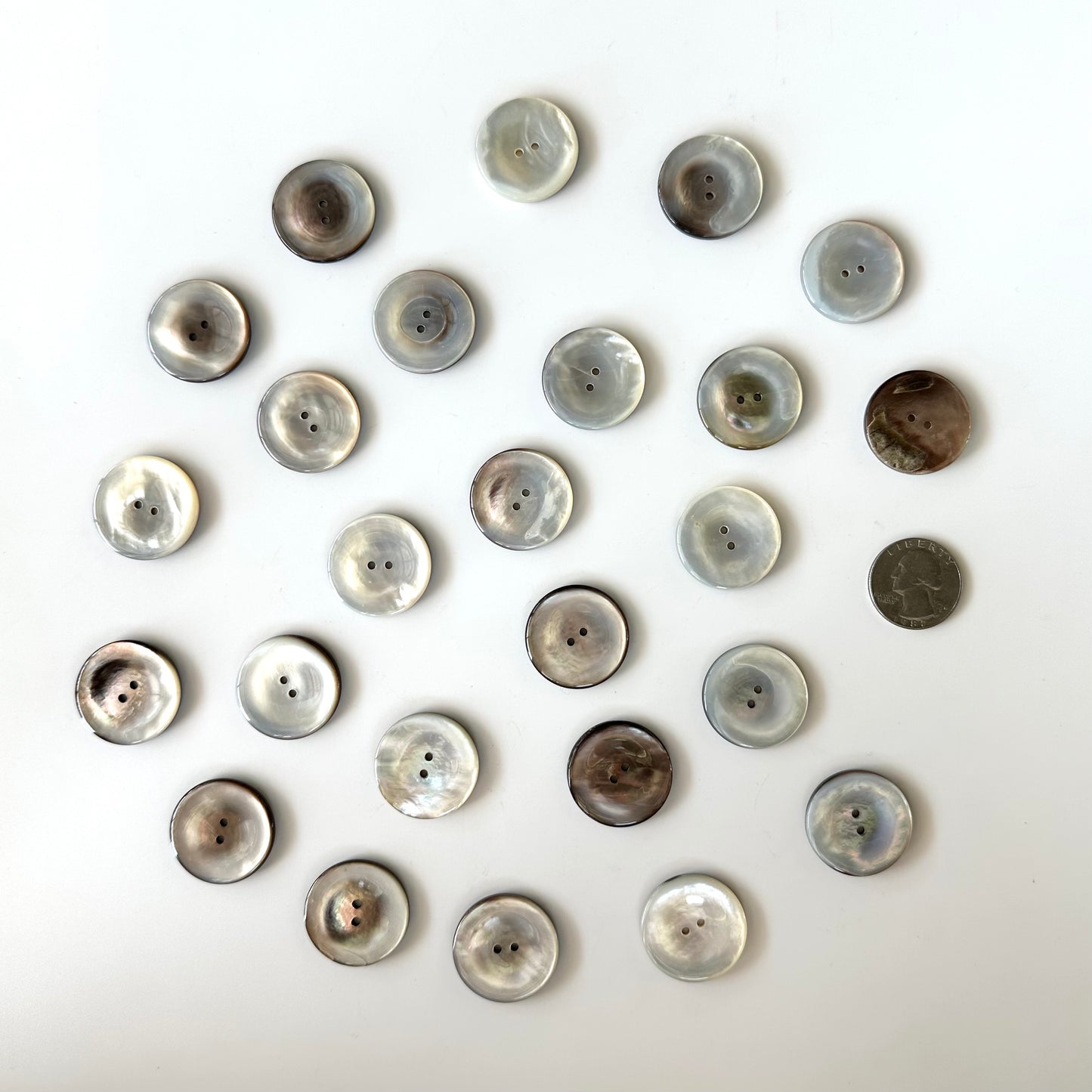 Shell Buttons - 1 inch and up