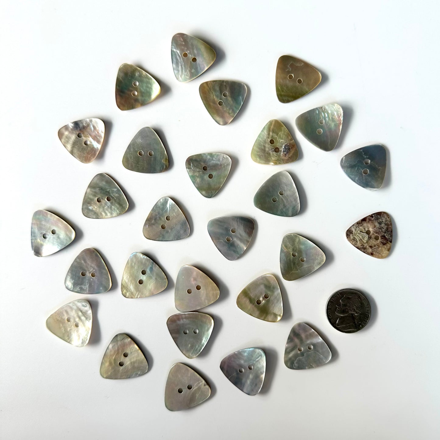 Shell Buttons - 1 inch and up