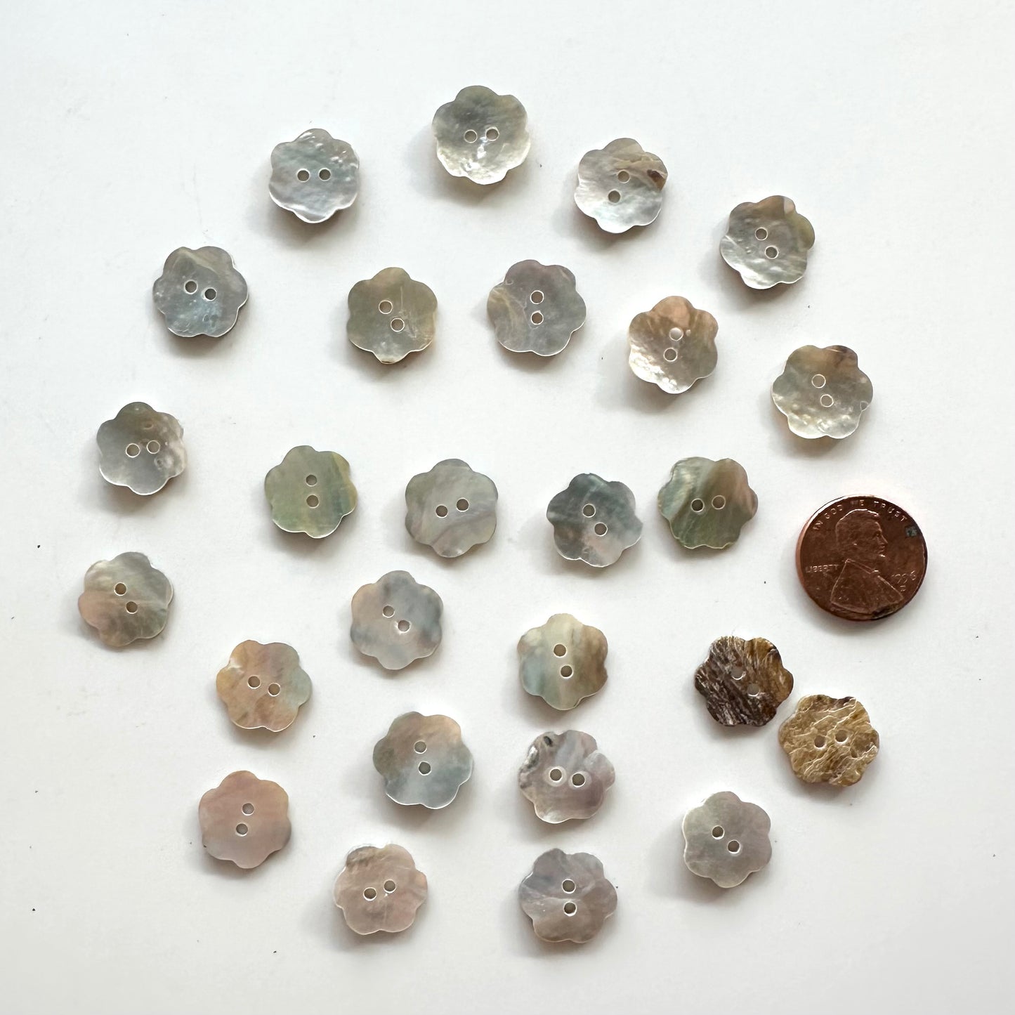 Shell Buttons - under 5/8 inch