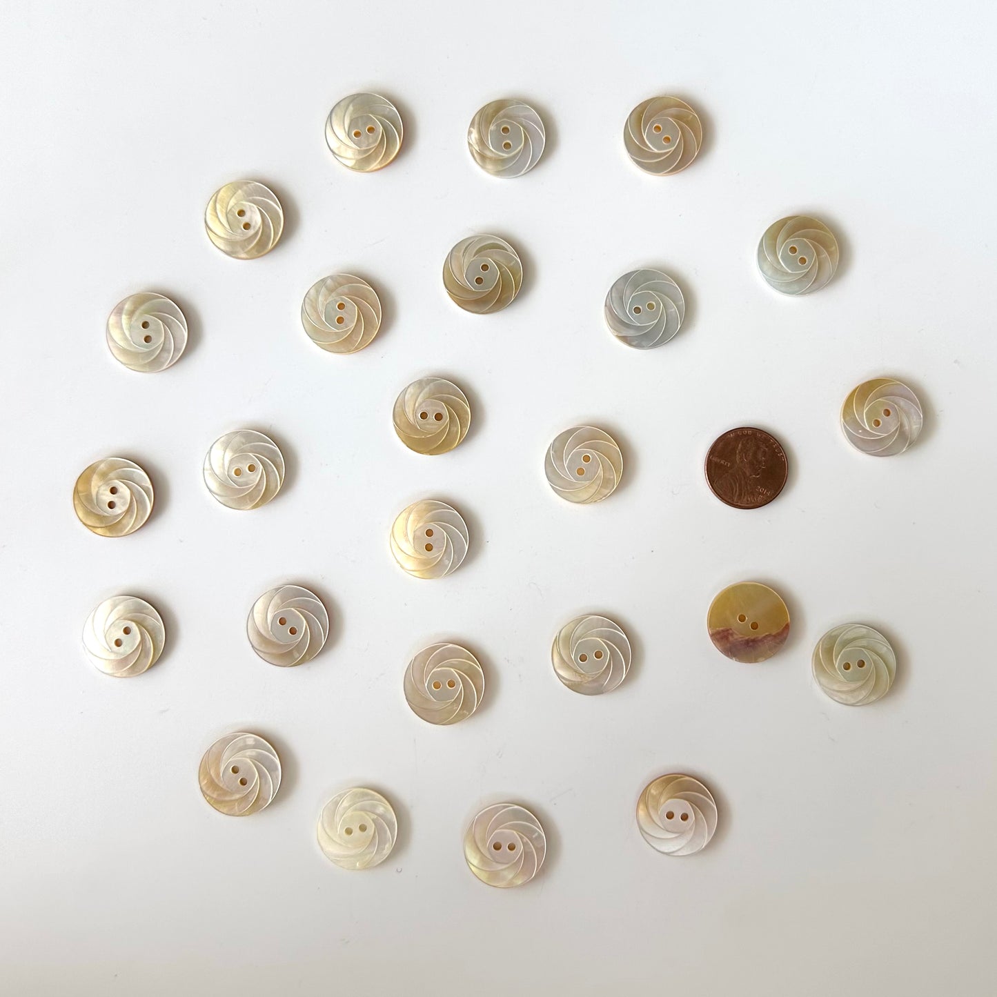 Shell Buttons - 5/8 to 7/8 inch