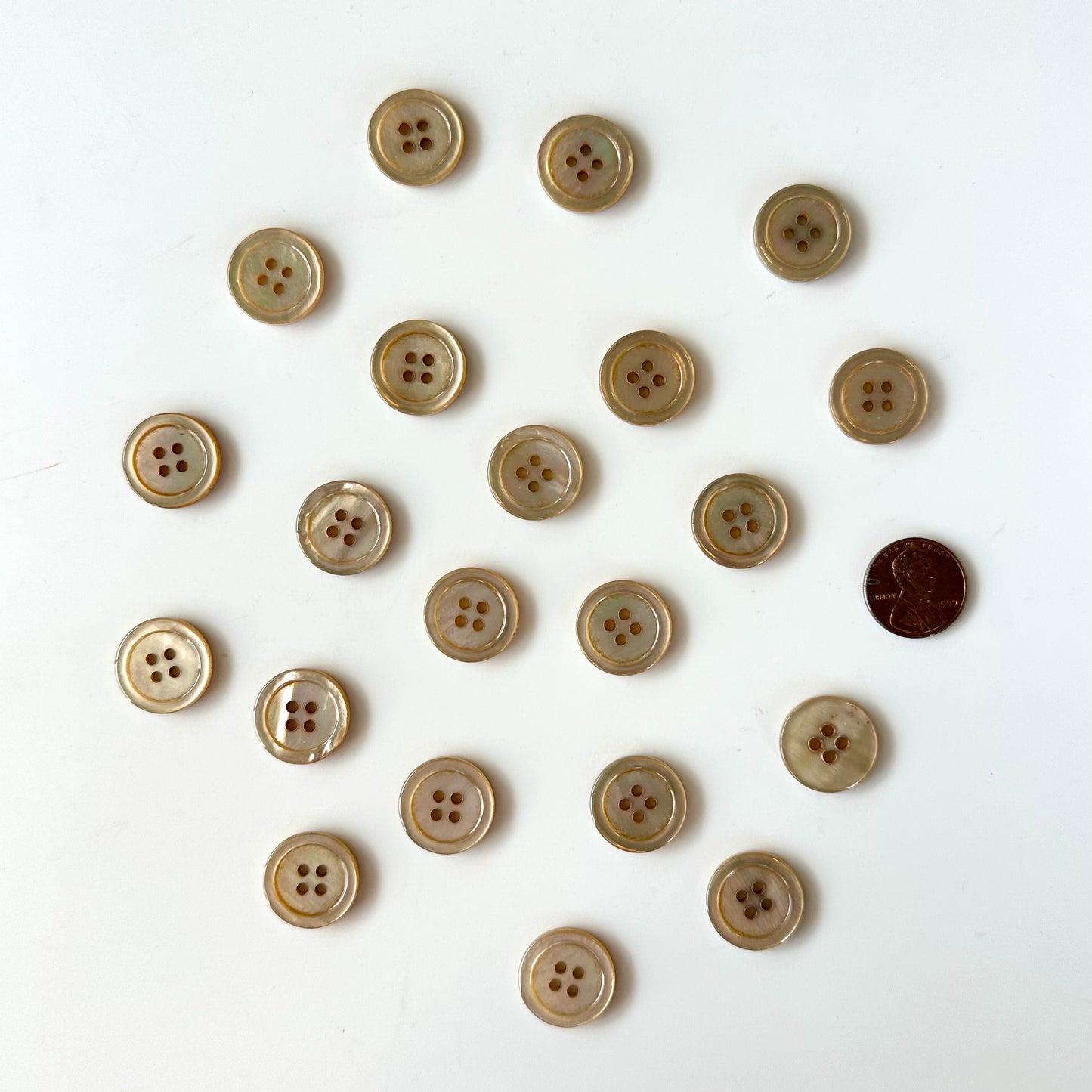 Shell Buttons - 5/8 to 7/8 inch