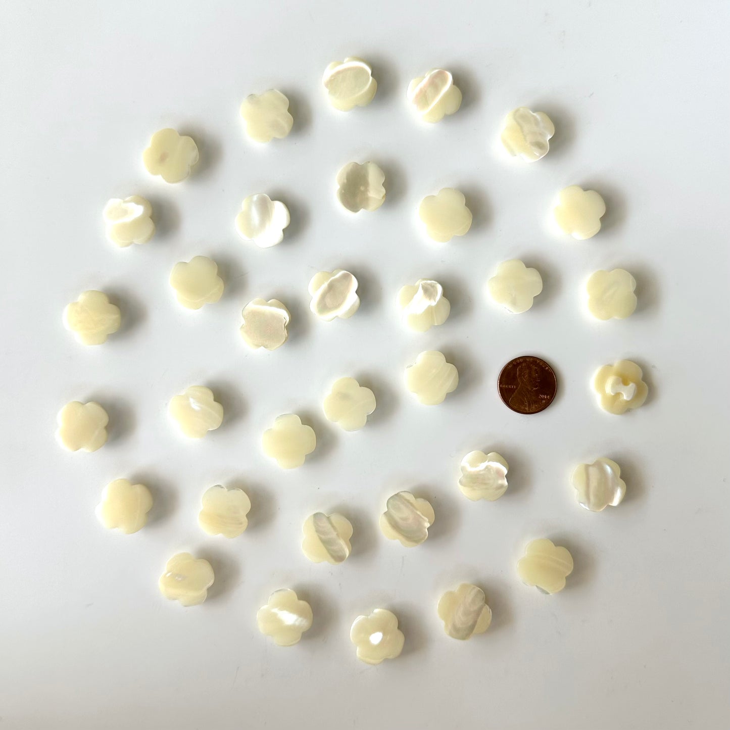 Shell Buttons - 5/8 to 7/8 inch
