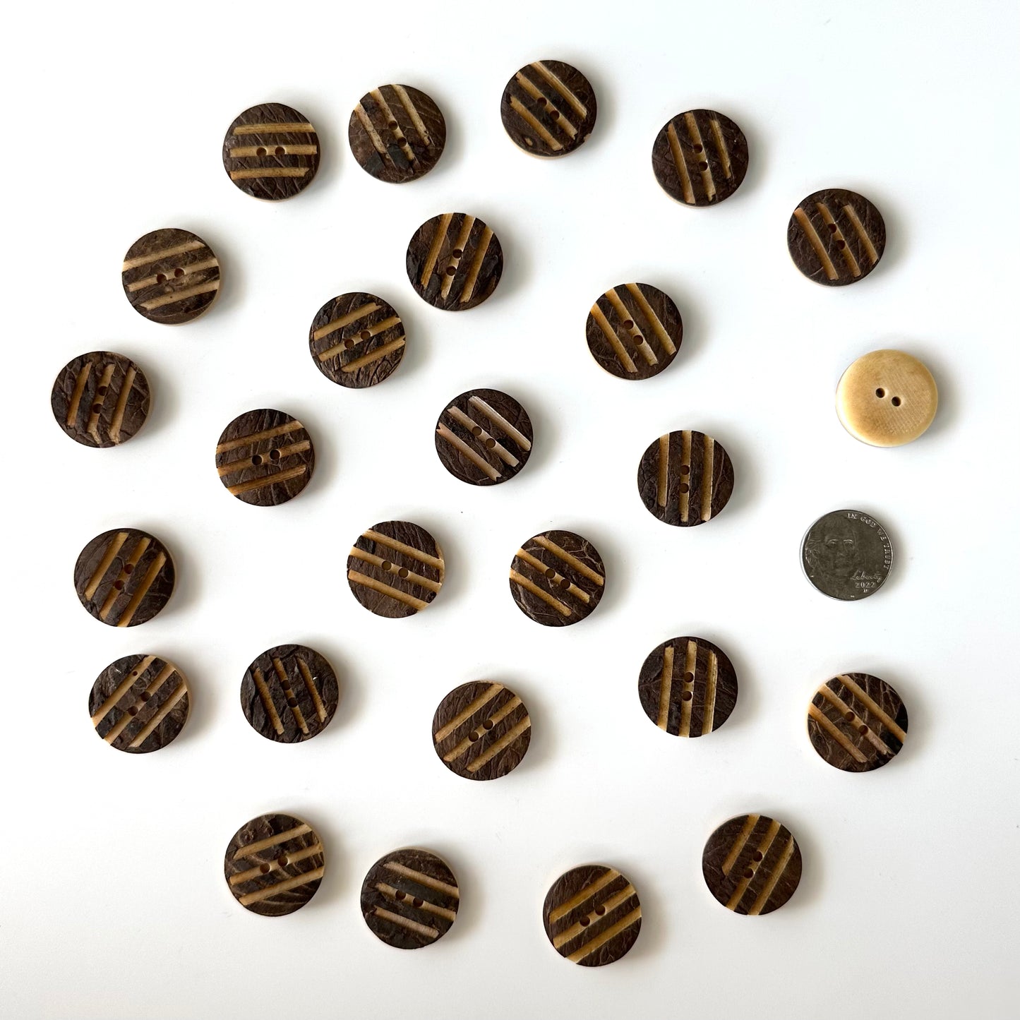 Nut & Horn Buttons