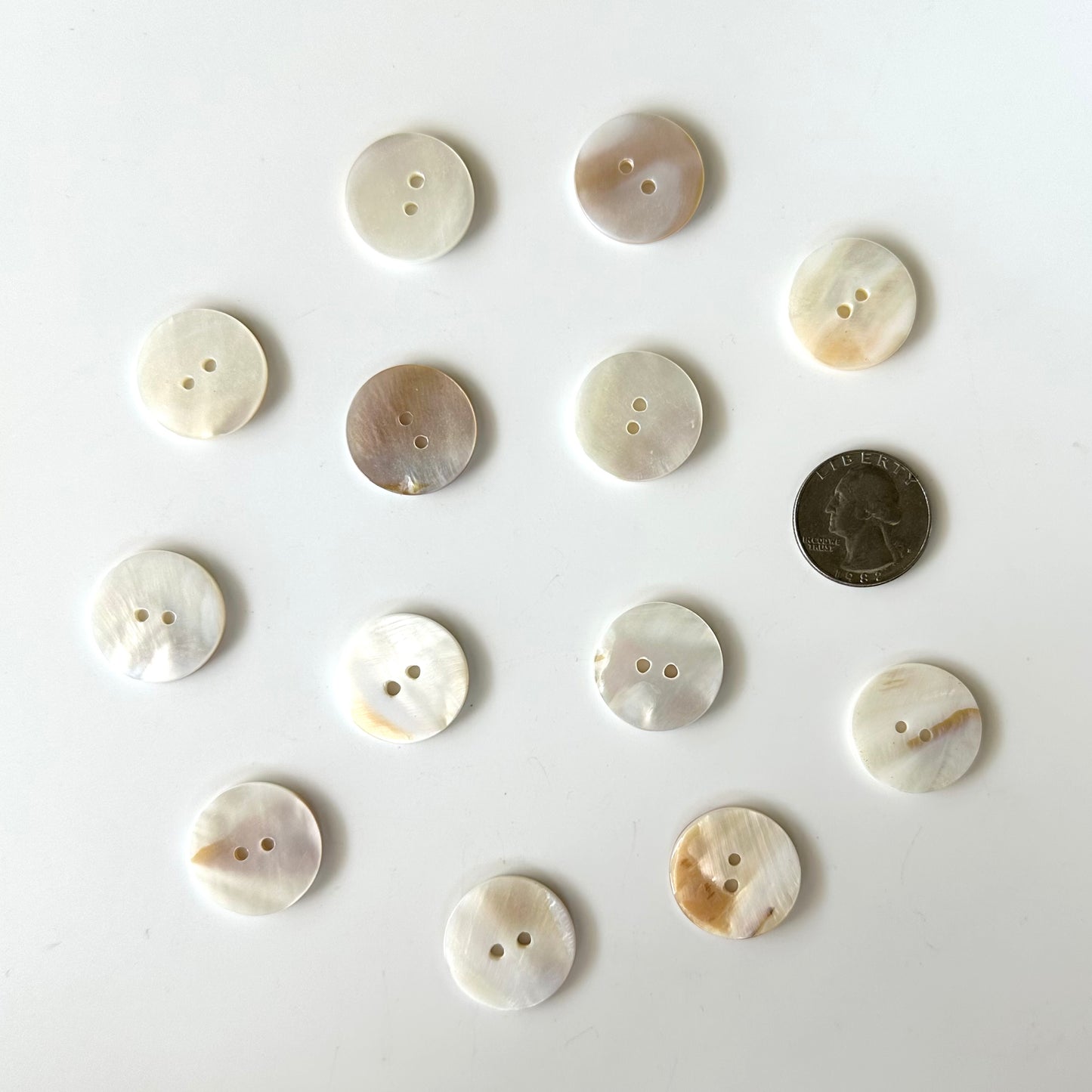 Shell Buttons - 5/8 to 7/8 inch