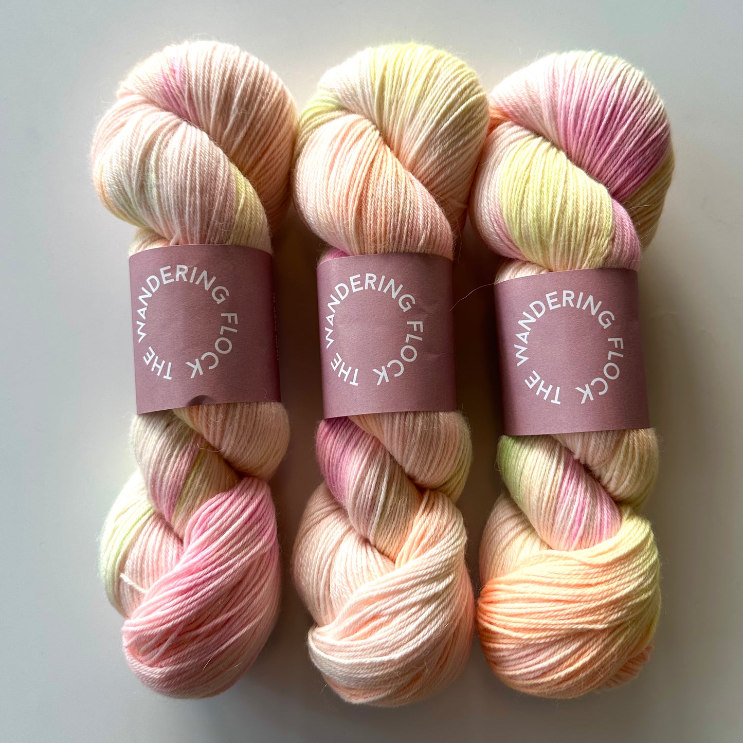 Baby Paca Fingering / Sport | The Wandering Flock