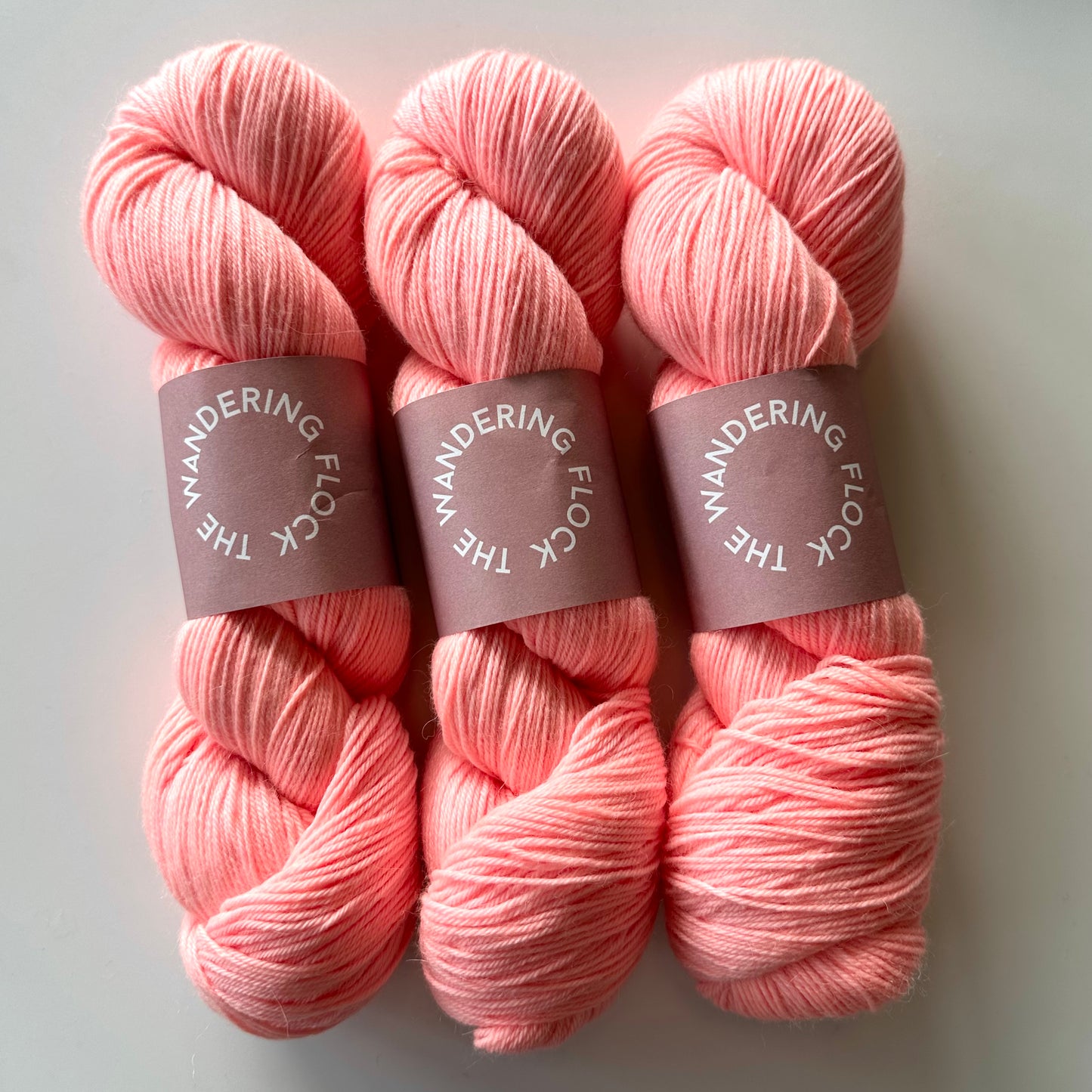 Baby Paca Fingering / Sport | The Wandering Flock