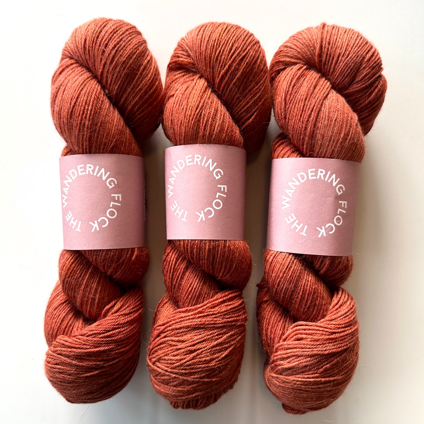 Baby Paca Fingering / Sport | The Wandering Flock