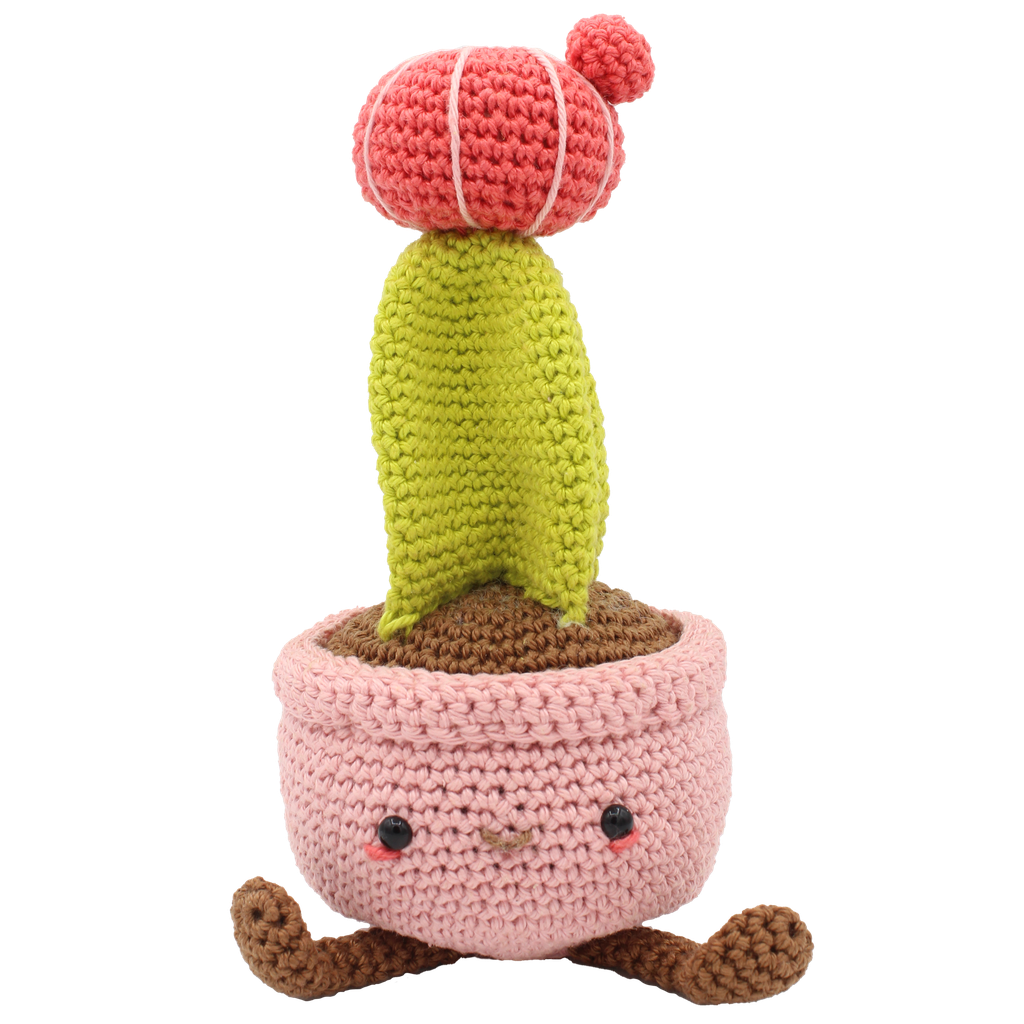 Moon Cactus Crochet Amigurumi Kit