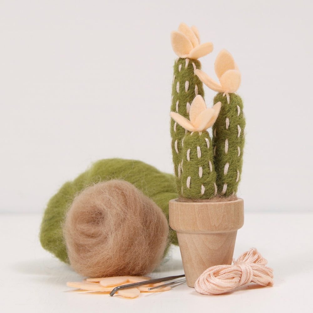 Peach Mojave Cactus Needle Felting Kit | Benzie Design