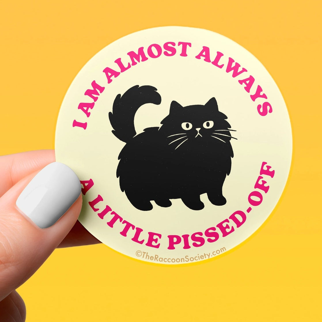 A Little Pissed Off | Raccoon Society