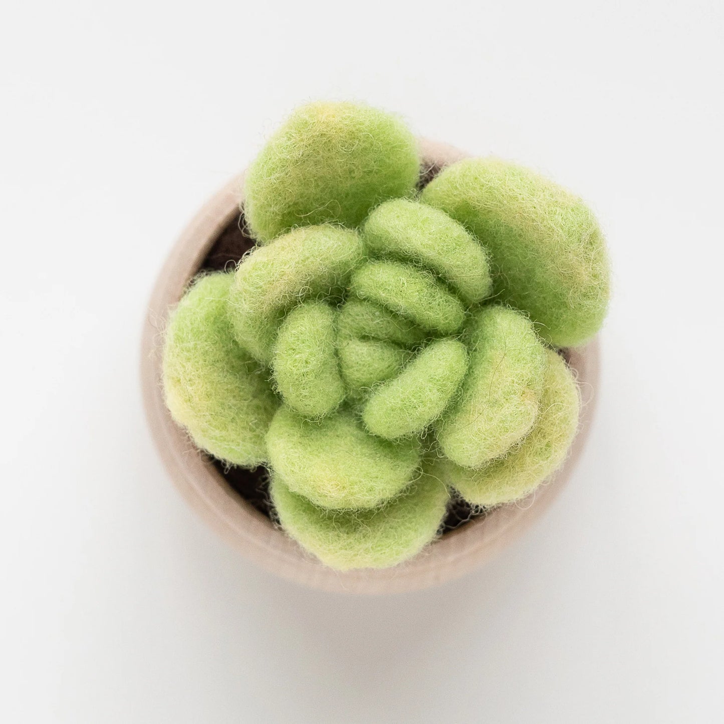 Lily Pad Succulent Mini Needle Felting Kit