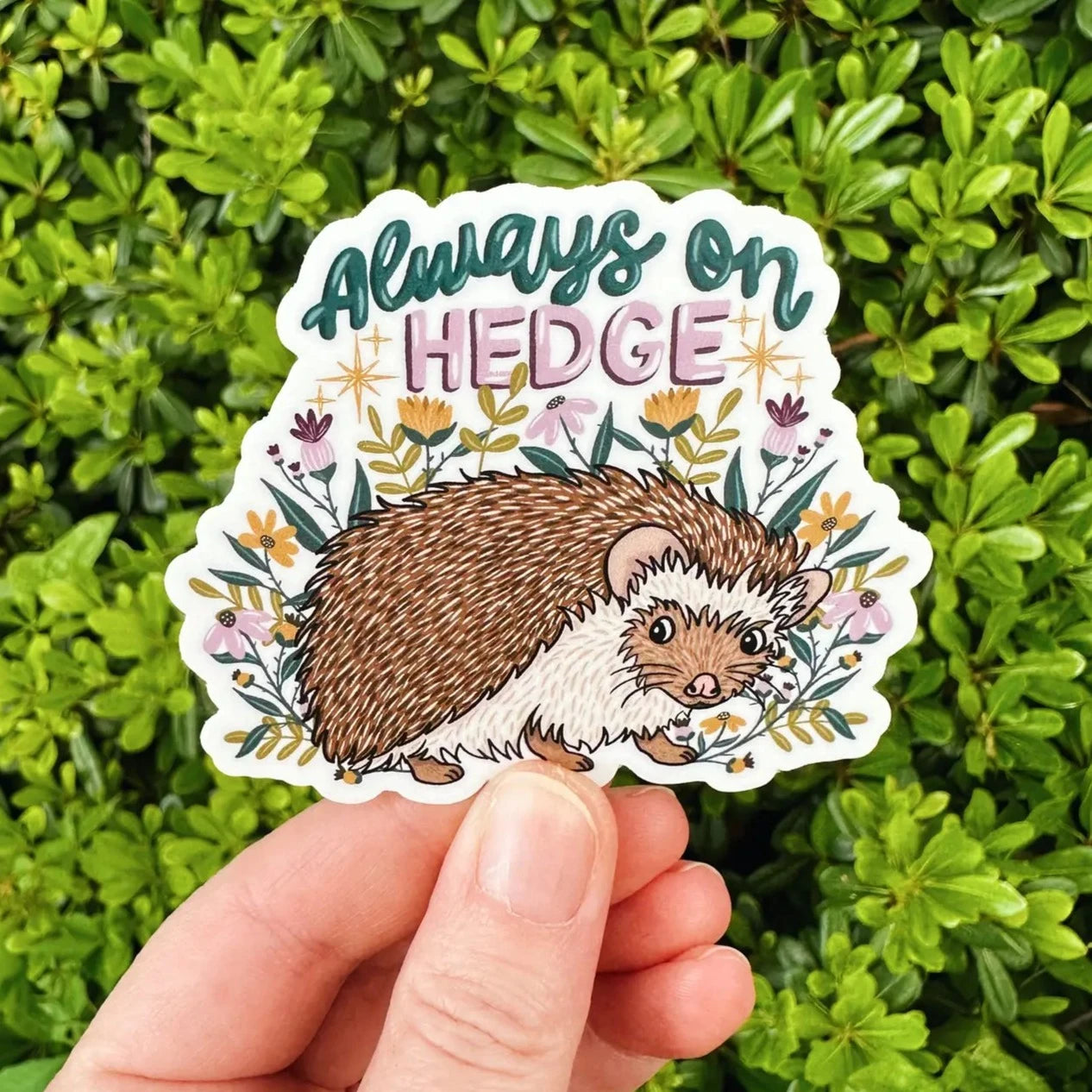 Always on Hedge Sticker | Remember November