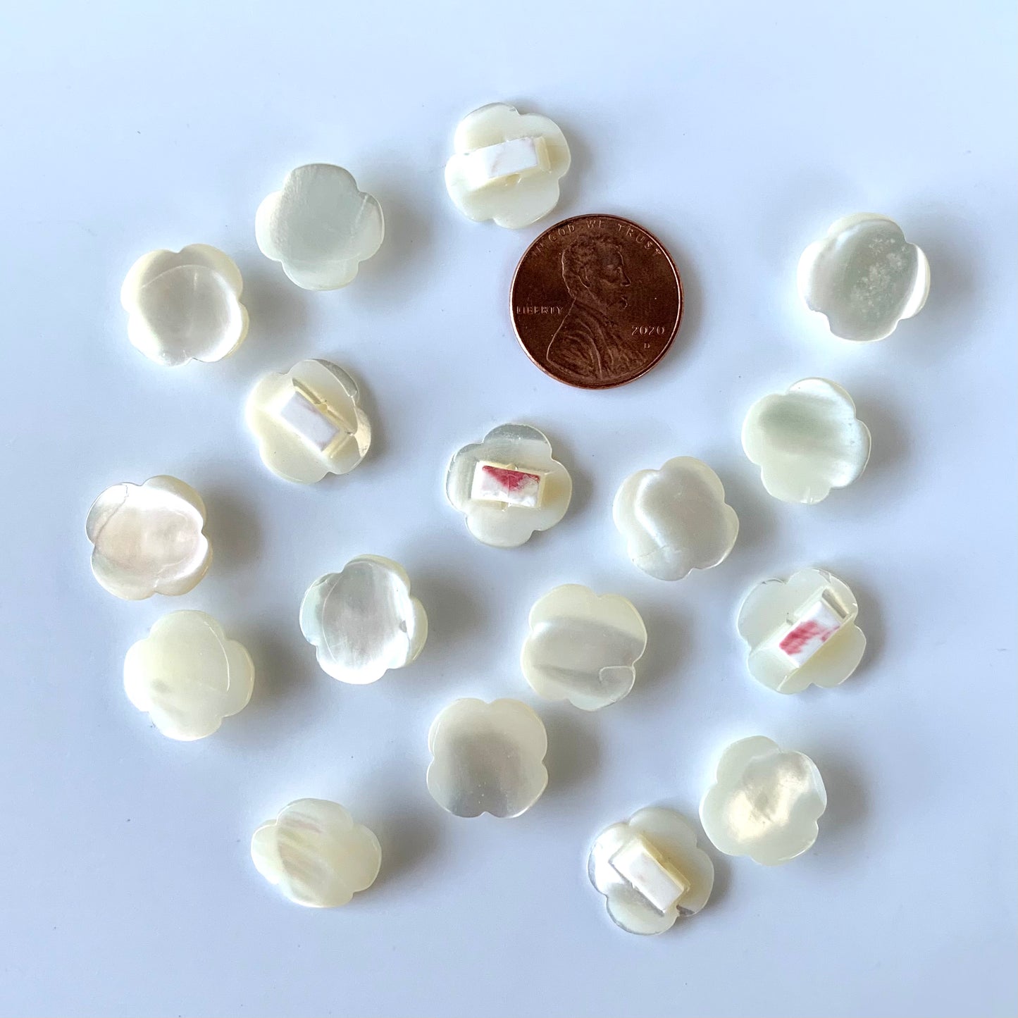 Shell Buttons - 5/8 to 7/8 inch
