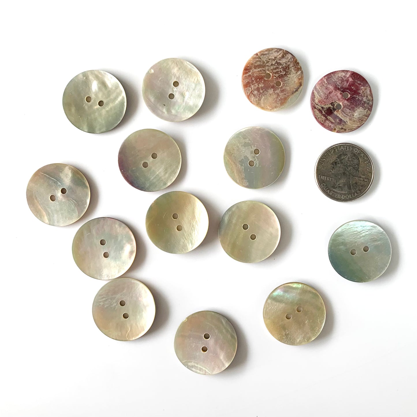 Shell Buttons - 1 inch and up