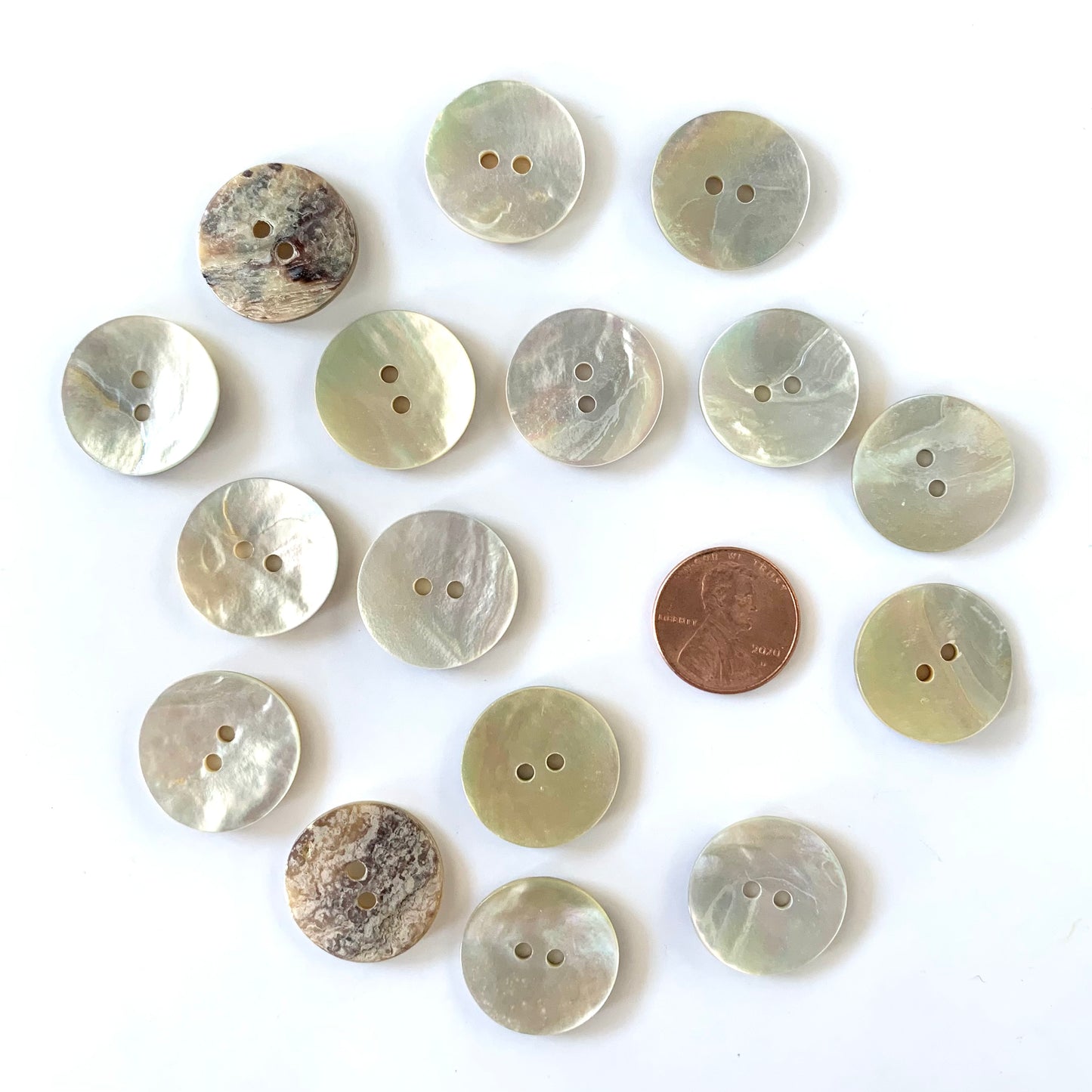 Shell Buttons - 5/8 to 7/8 inch