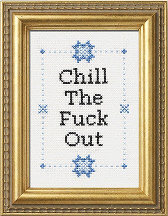 Subversive Cross Stitch Kits | final sale