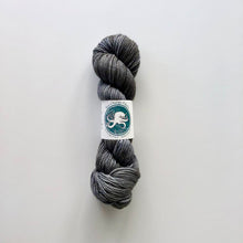 Load image into Gallery viewer, Ecola Worsted - Sea Change Fibers
