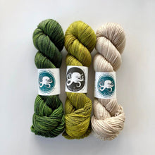 Load image into Gallery viewer, Ecola Worsted - Sea Change Fibers
