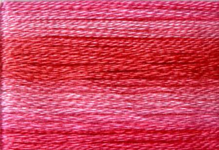 Embroidery Floss - Cosmo Variegated Colors