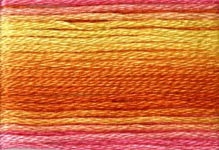 Embroidery Floss - Cosmo Variegated Colors