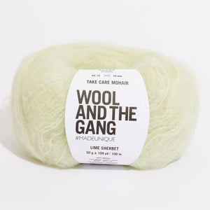 Take Care Mohair Worsted / Aran / Bulky - Wool and the Gang