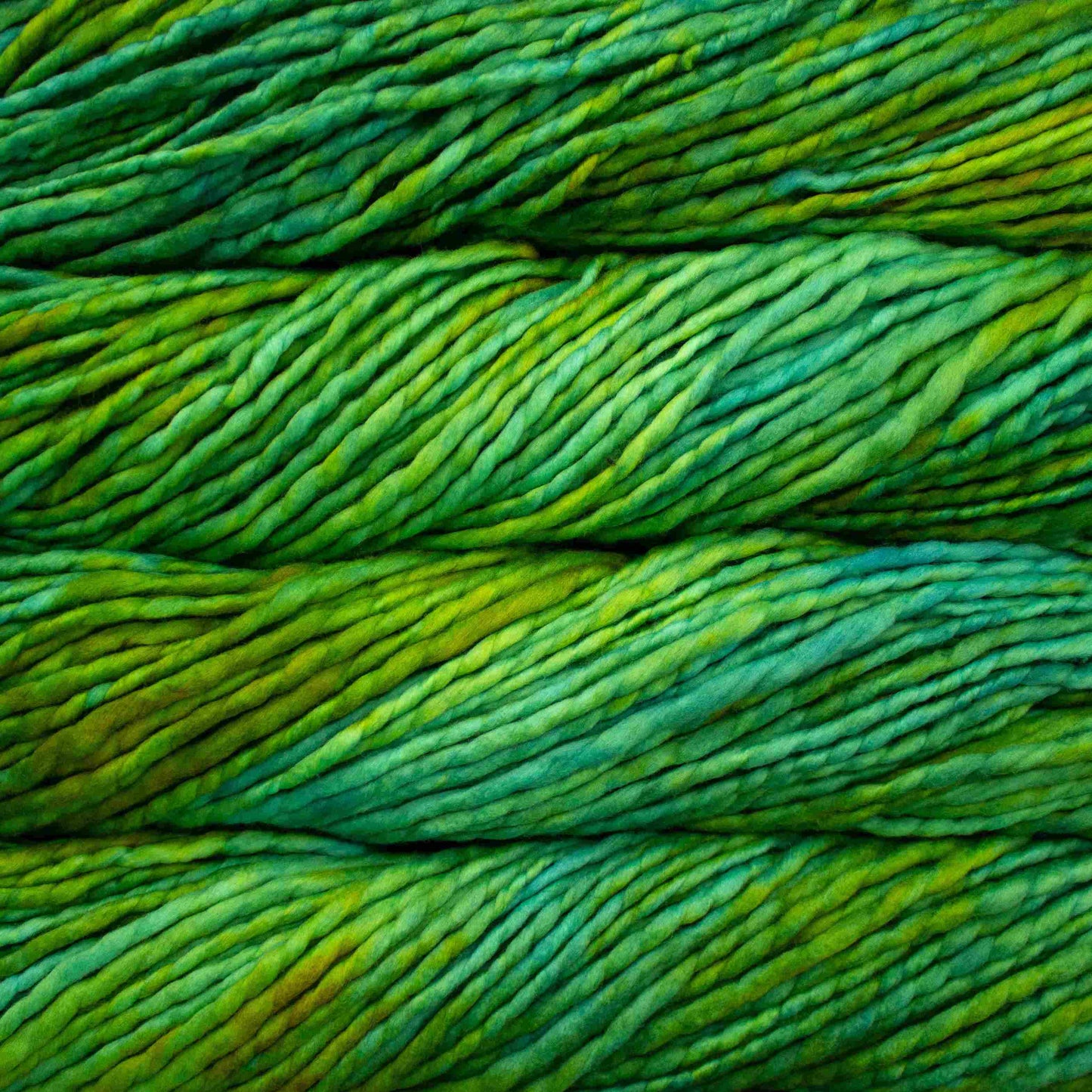Rasta | Malabrigo
