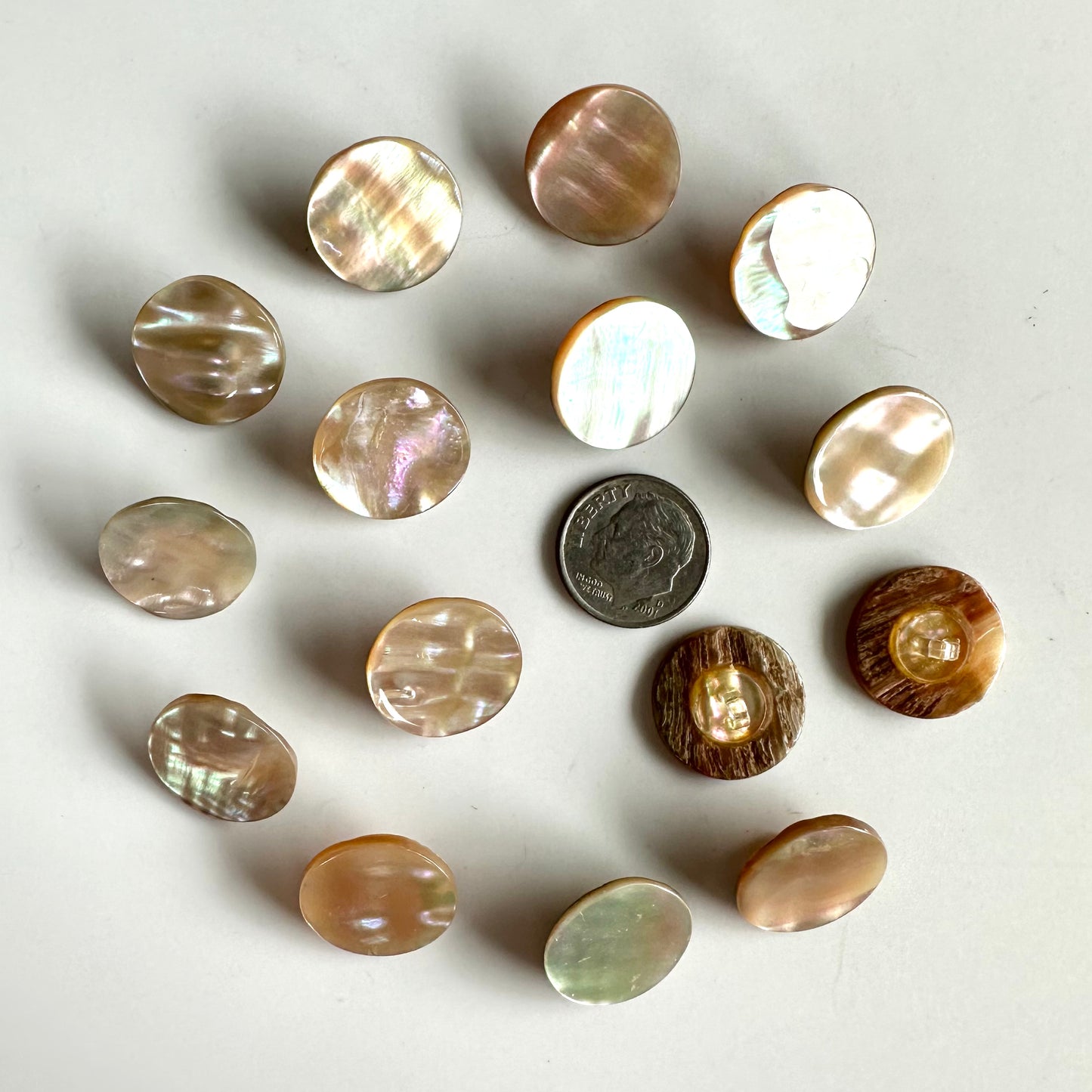 Shell Buttons - 5/8 to 7/8 inch