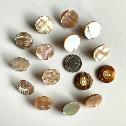 Shell Buttons - 5/8 to 7/8 inch