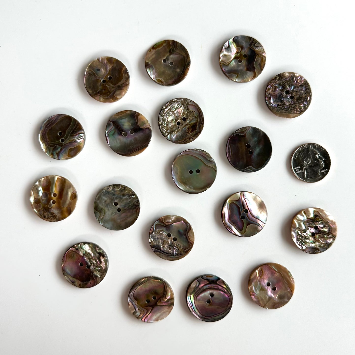 Shell Buttons - over 7/8"