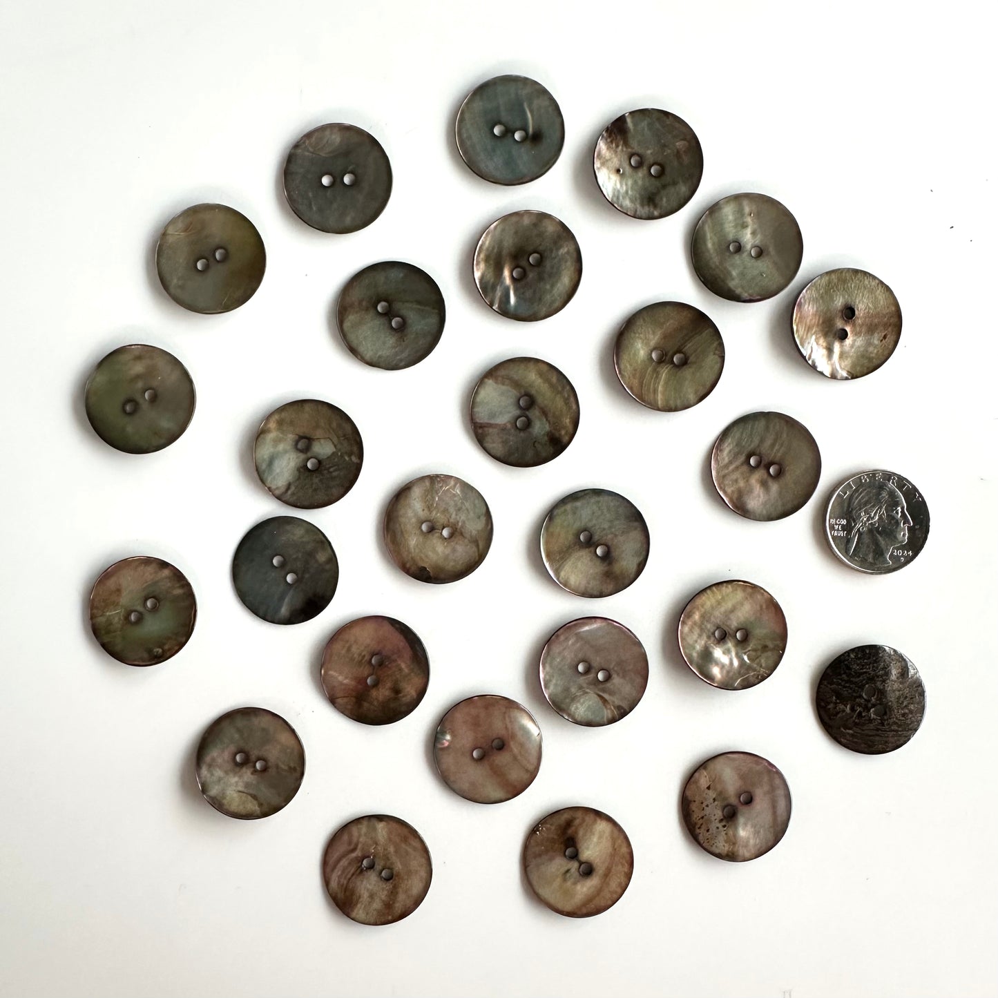 Shell Buttons - over 7/8"
