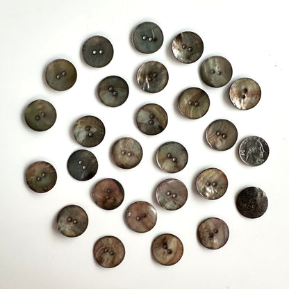 Shell Buttons - over 7/8"