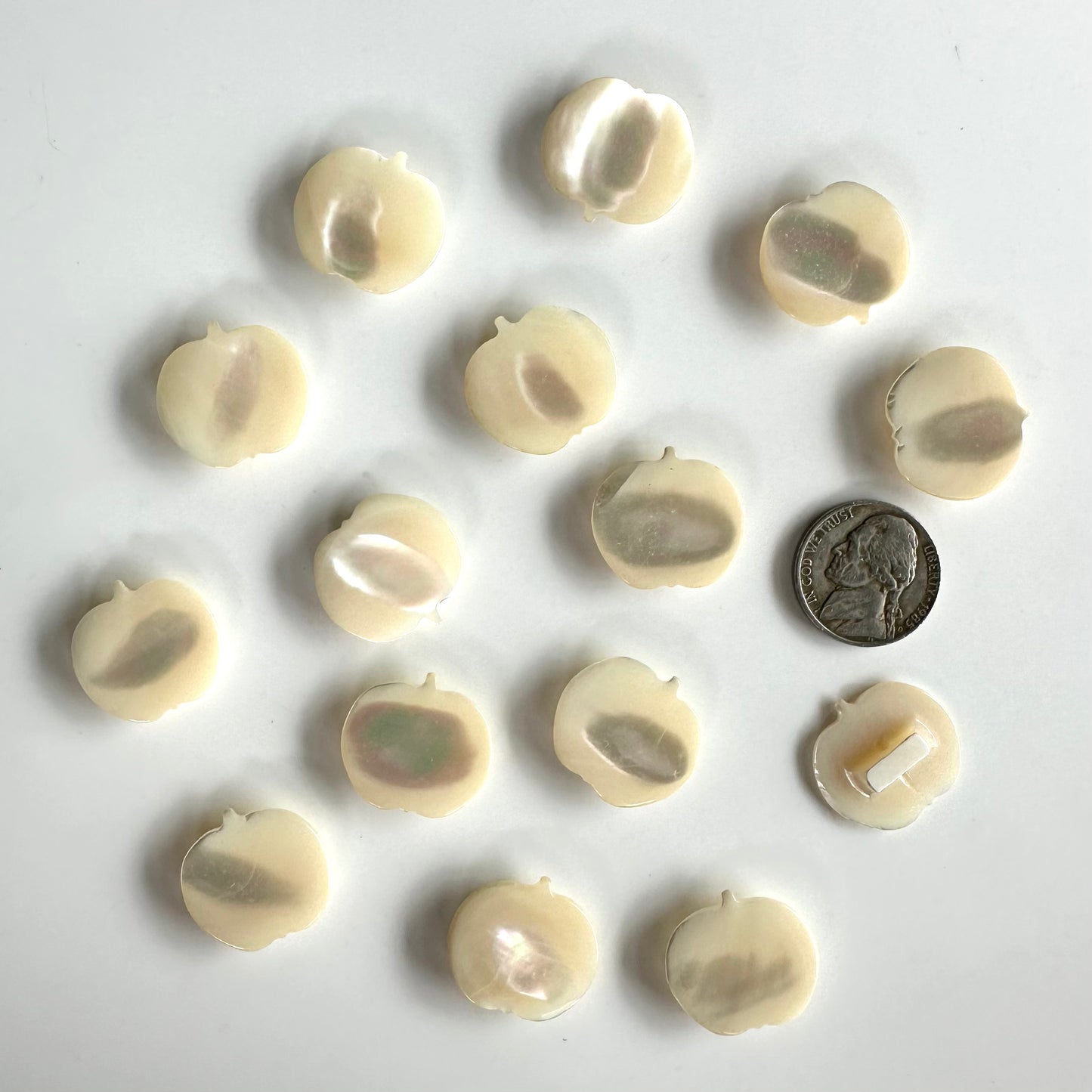 Shell Buttons - 5/8 to 7/8 inch