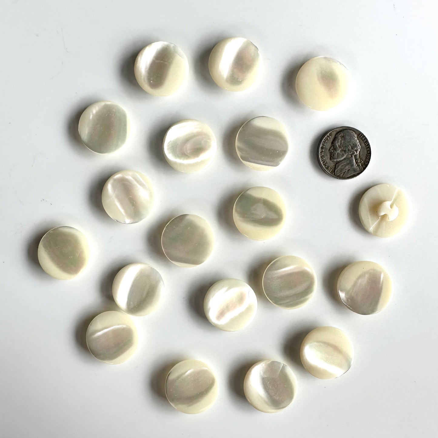 Shell Buttons - 5/8 to 7/8 inch