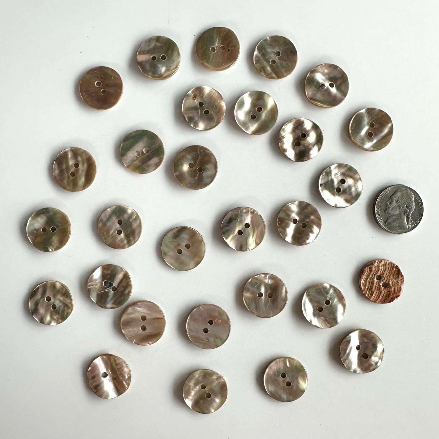 Shell Buttons - 5/8 to 7/8 inch