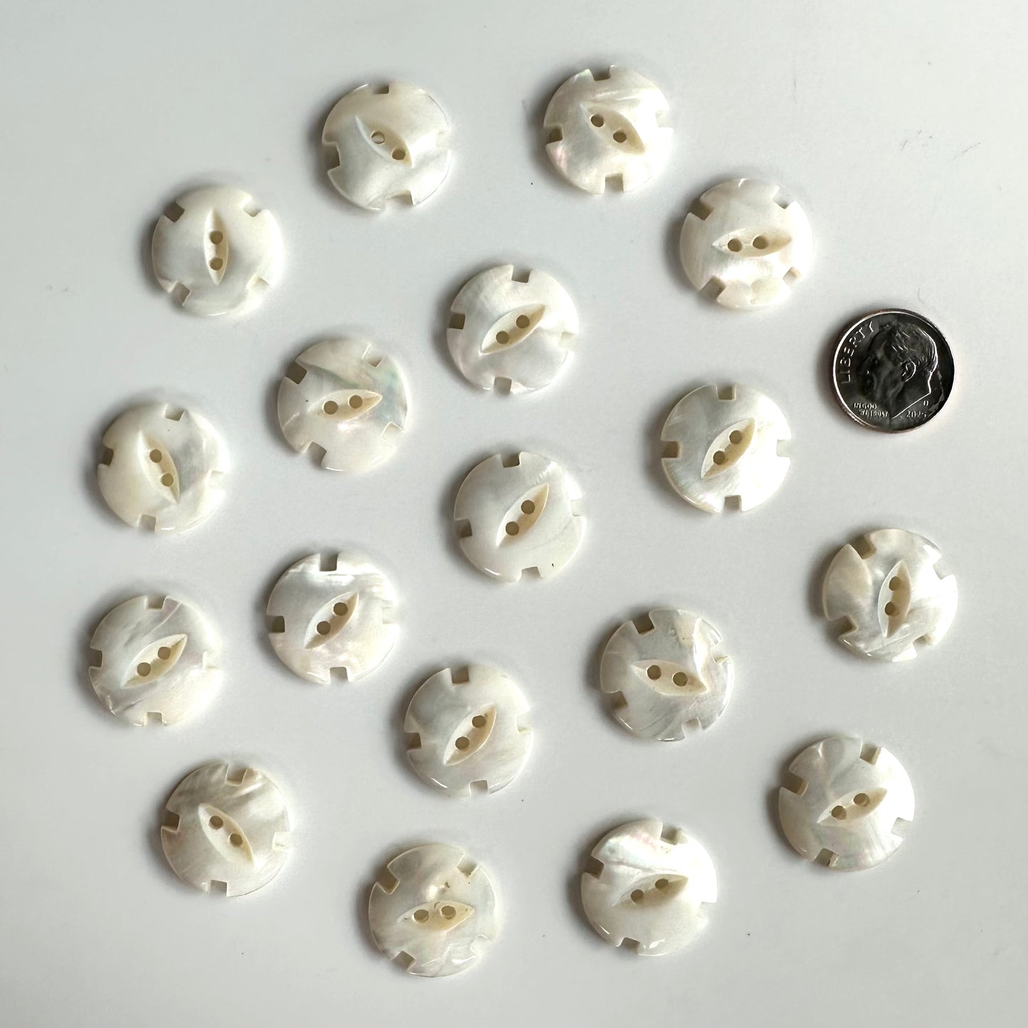 Shell Buttons - 5/8 to 7/8 inch