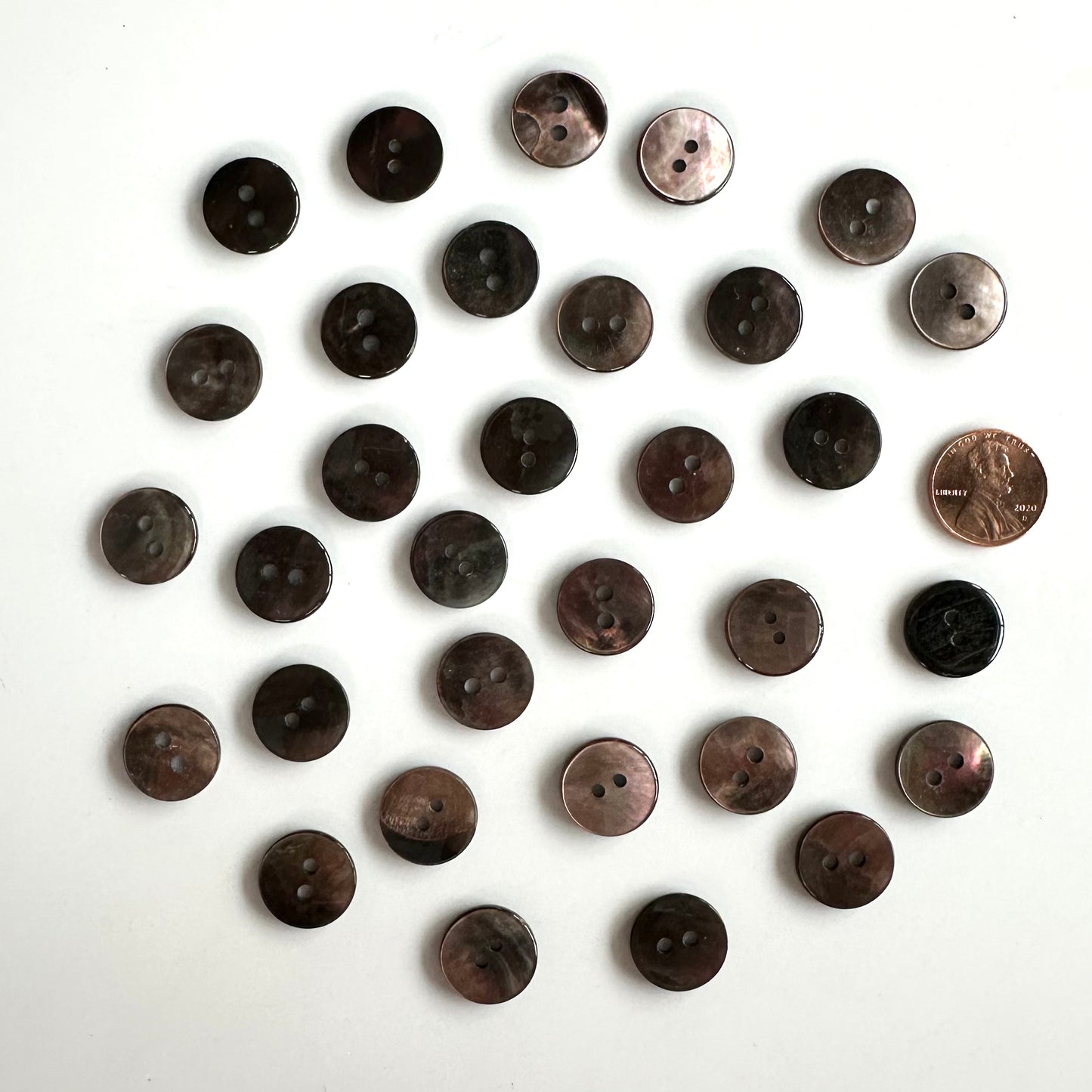 Shell Buttons - 5/8 to 7/8 inch