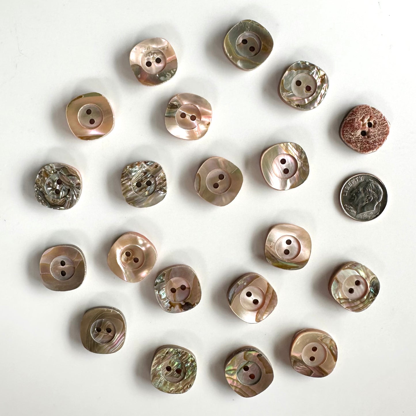 Shell Buttons - 5/8 to 7/8 inch