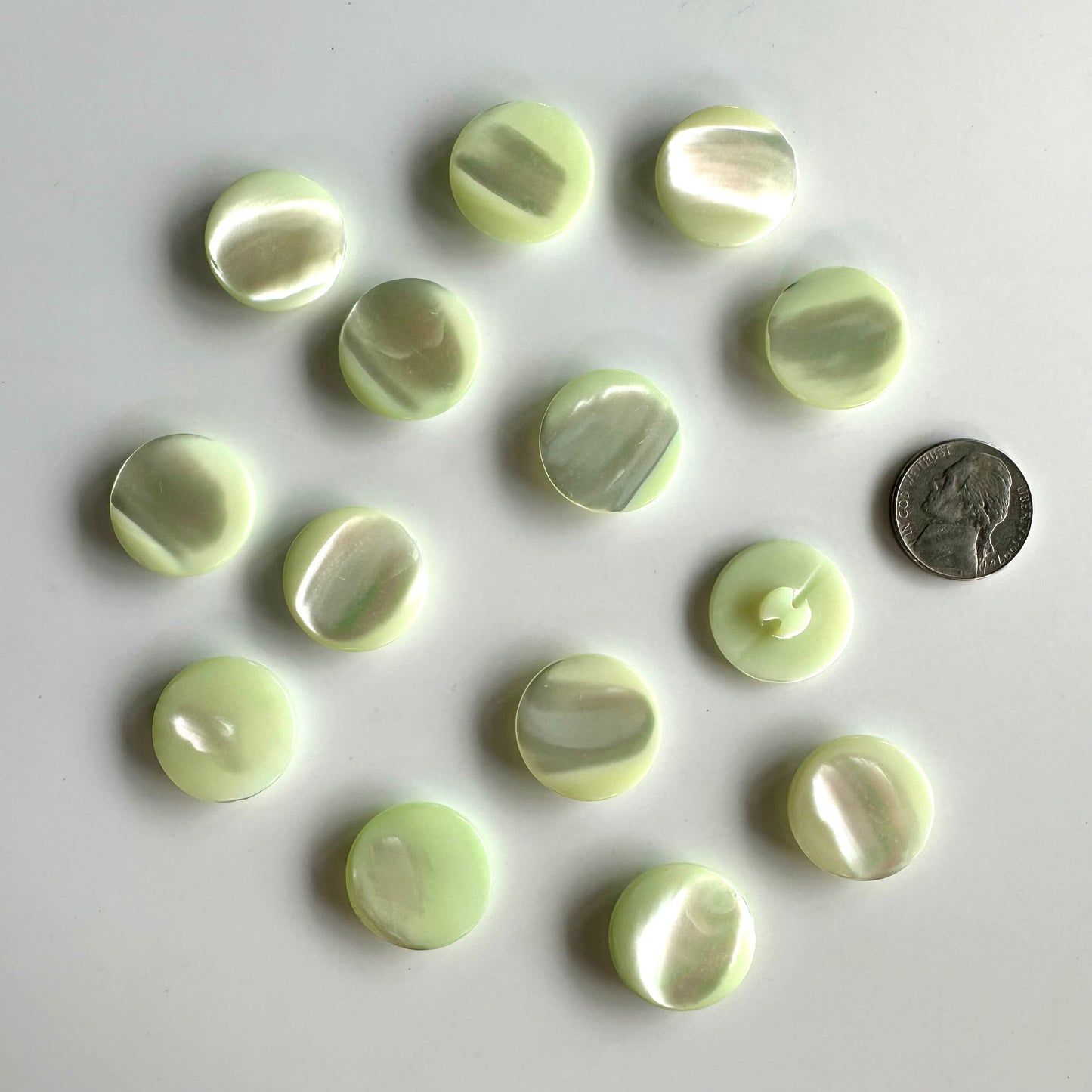 Shell Buttons - 5/8 to 7/8 inch