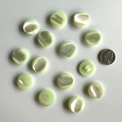 Shell Buttons - 5/8 to 7/8 inch