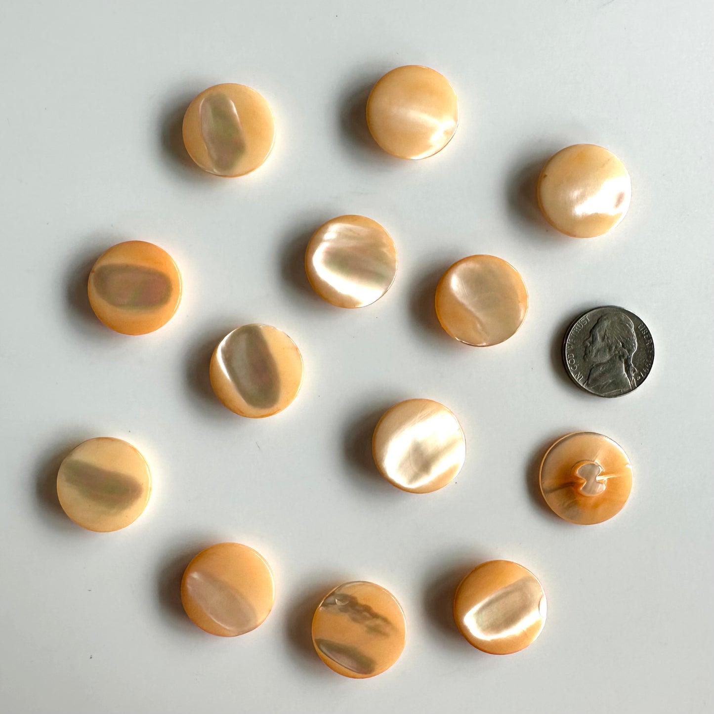 Shell Buttons - 5/8 to 7/8 inch