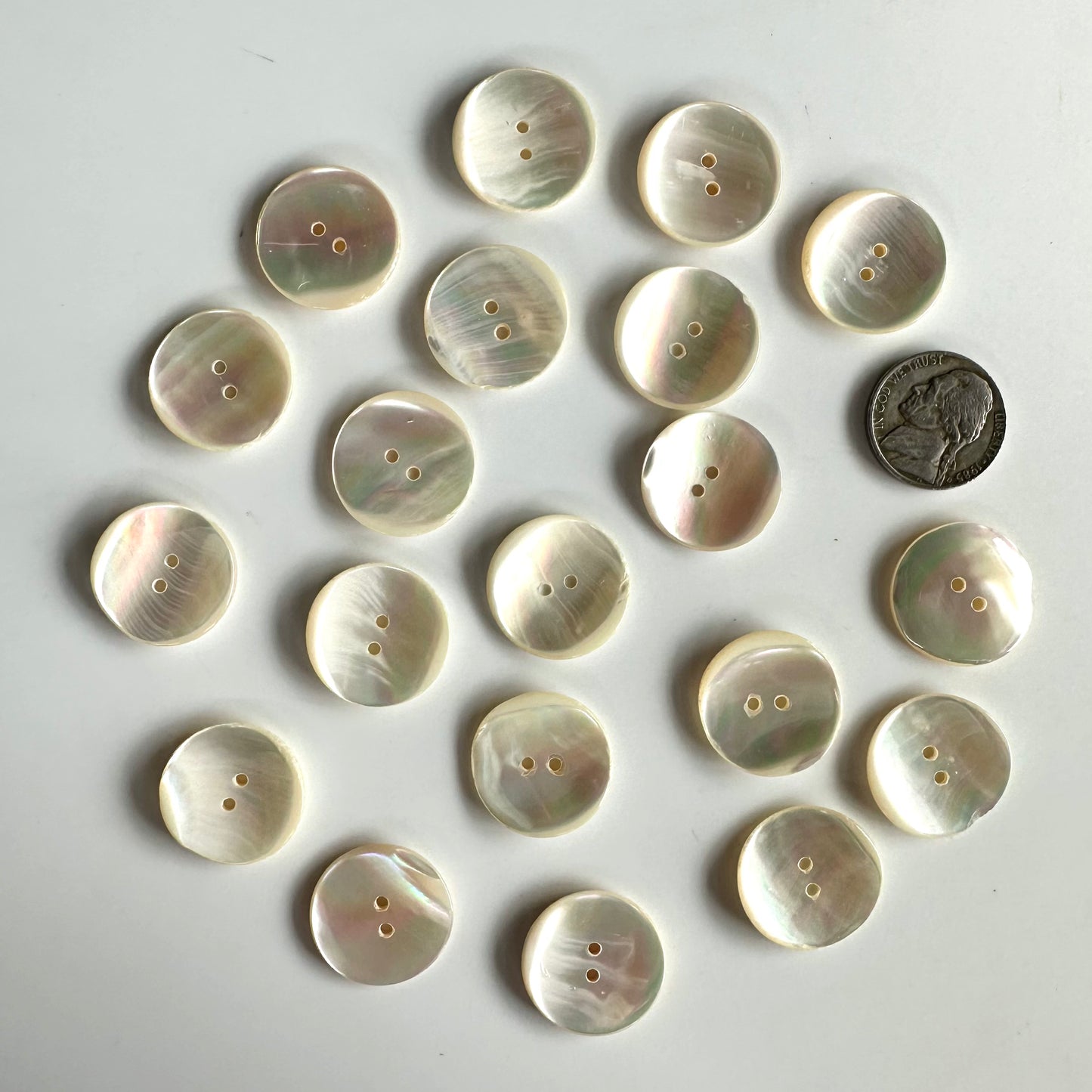 Shell Buttons - 5/8 to 7/8 inch