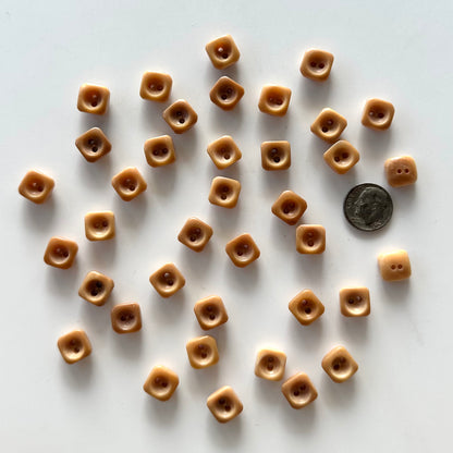 Nut, Horn, & Leather Buttons