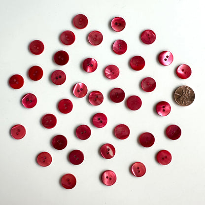 Shell Buttons - under 5/8 inch