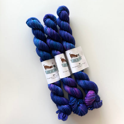 Merino Sock Crawl Colors | Long Dog Yarn