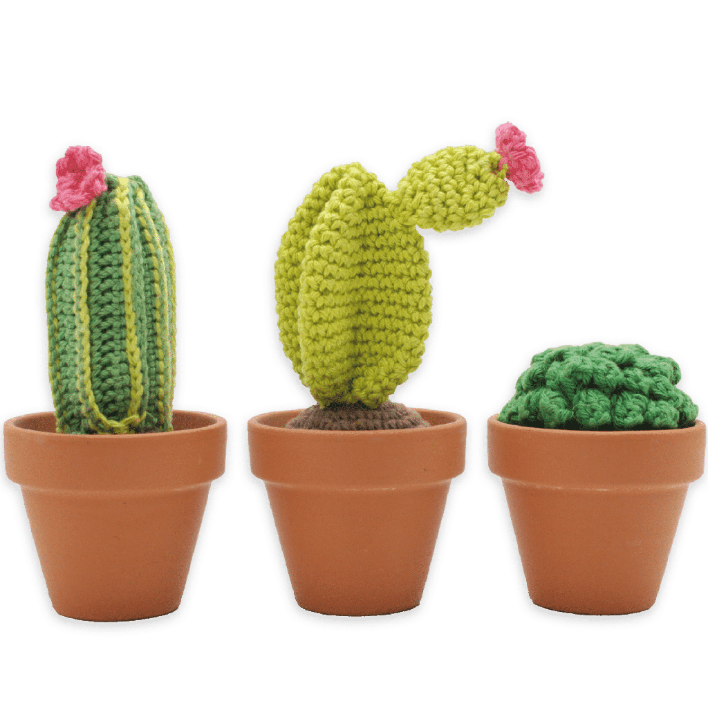 Cactus Crochet Amigurumi Kit