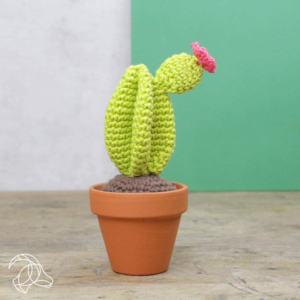 Cactus Crochet Amigurumi Kit