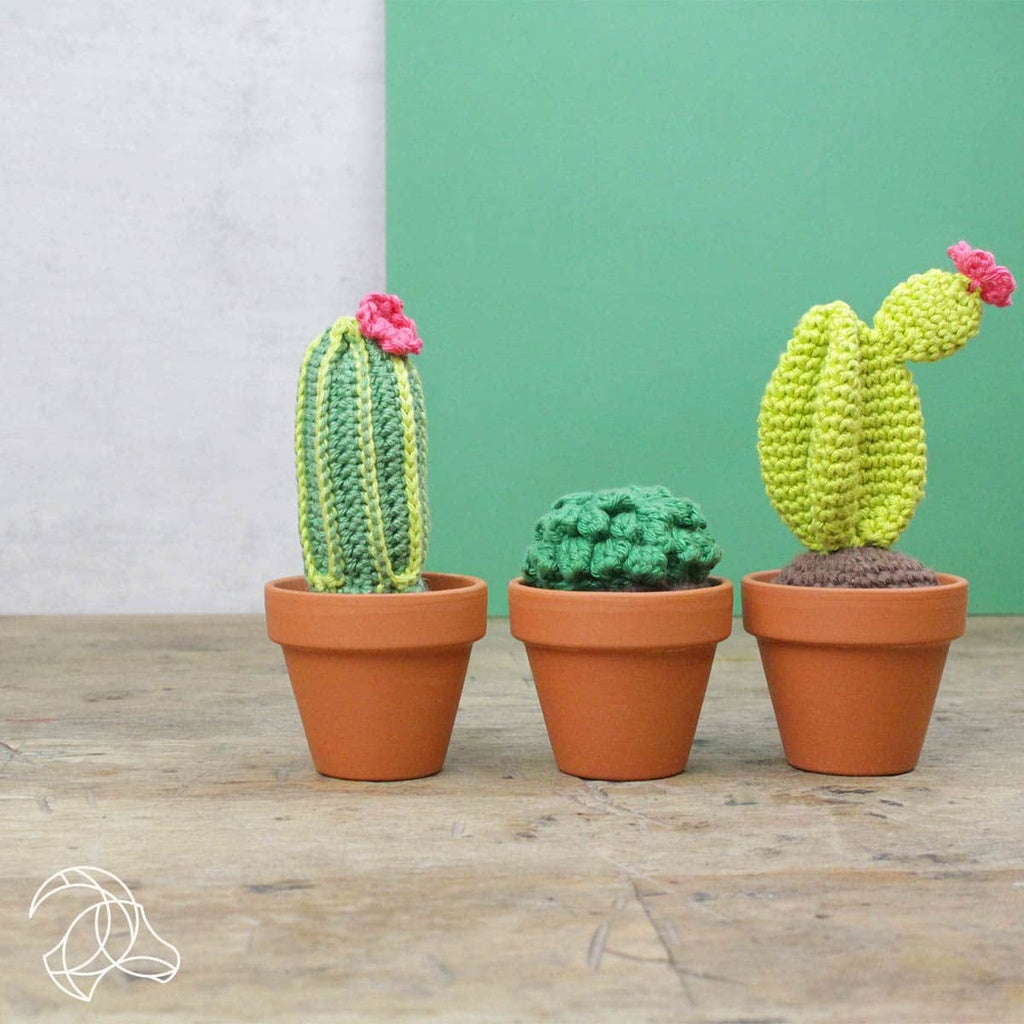 Cactus Crochet Amigurumi Kit