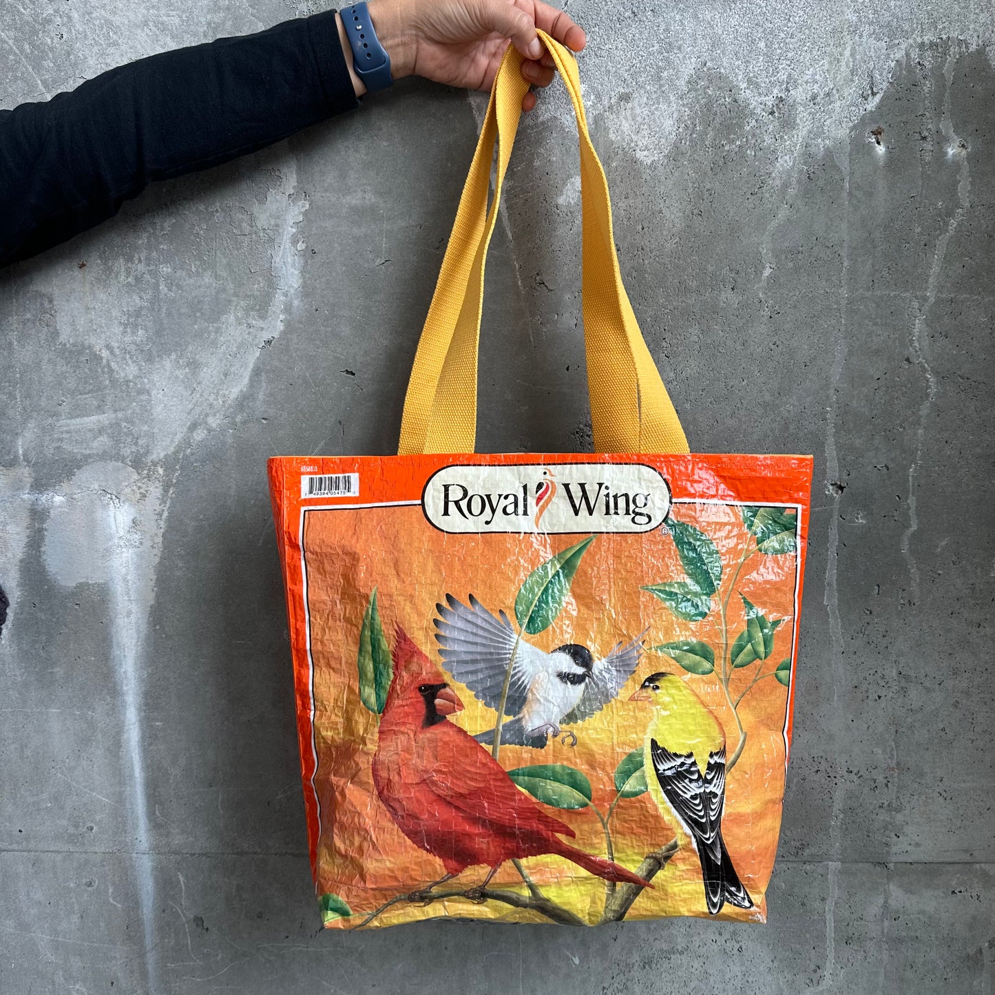 Upcycled Tote Bags | Dr. Laura